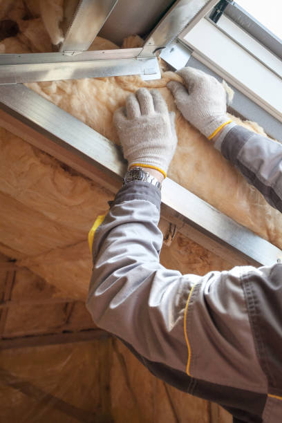 Best Residential Insulation in Maud, TX