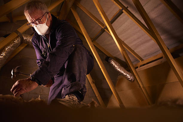 Best Spray Foam Insulation in Maud, TX